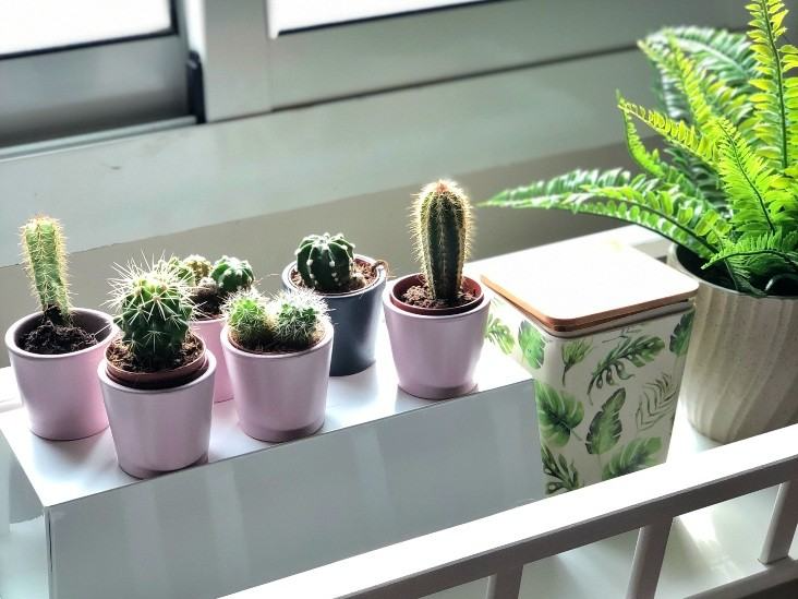 Pots & Planters